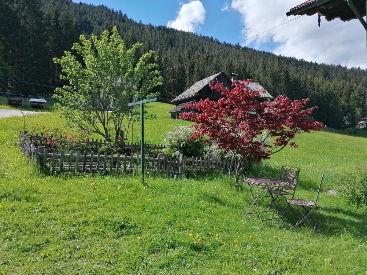 Ferienwohnungen Asterbach Гозау Екстериор снимка